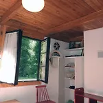 Modrzewiowy Letniskowy - Stare Czaple Hébergement de vacances Brodnica (Kartuzy)