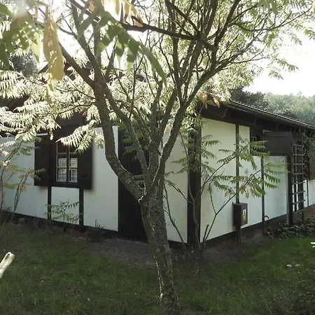 Dom wakacyjny Modrzewiowy Letniskowy - Stare Czaple