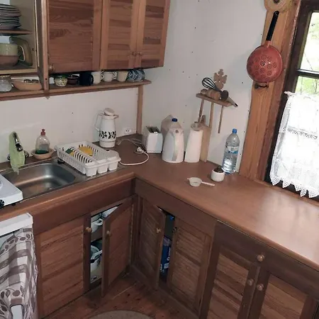 Modrzewiowy Letniskowy - Stare Czaple * Brodnica (Kartuzy)