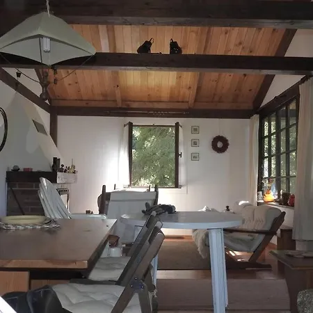 Dom wakacyjny Modrzewiowy Letniskowy - Stare Czaple Brodnica (Kartuzy)