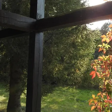 Modrzewiowy Letniskowy - Stare Czaple *