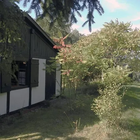 Modrzewiowy Letniskowy - Stare Czaple * Brodnica (Kartuzy)