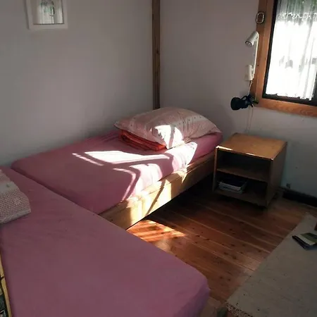 Modrzewiowy Letniskowy - Stare Czaple * Brodnica (Kartuzy)