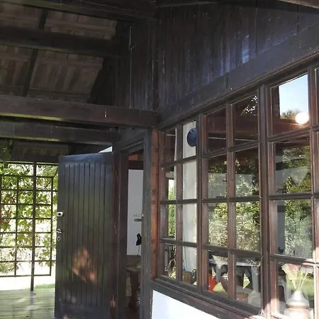 Dom wakacyjny Modrzewiowy Letniskowy - Stare Czaple Brodnica (Kartuzy)