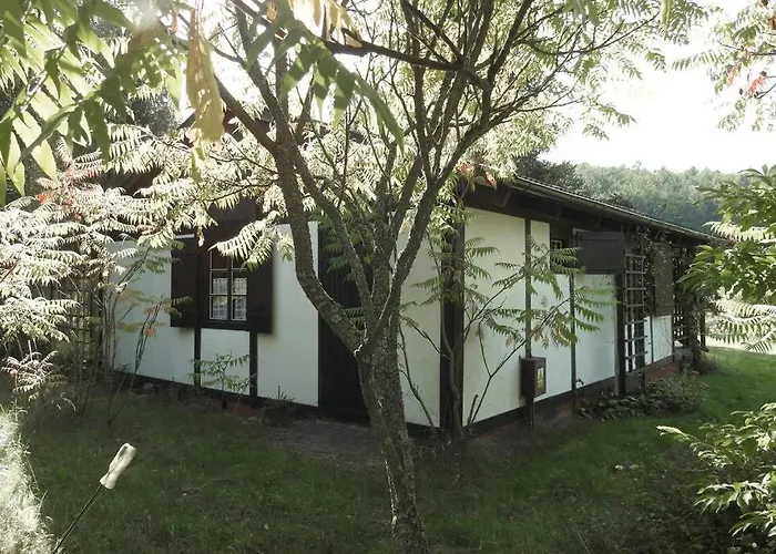 Dom wakacyjny Modrzewiowy Letniskowy - Stare Czaple