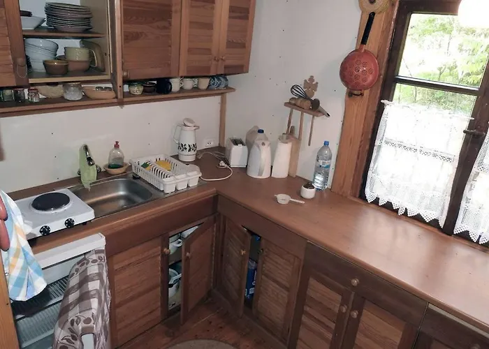 Modrzewiowy Letniskowy - Stare Czaple * Brodnica (Kartuzy)