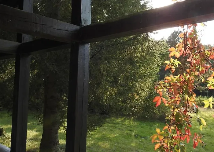 Modrzewiowy Letniskowy - Stare Czaple *