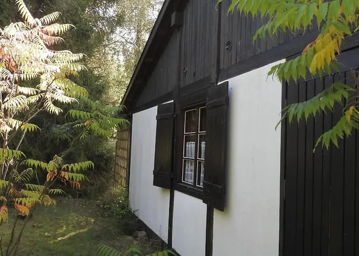 Modrzewiowy Letniskowy - Stare Czaple Dom wakacyjny