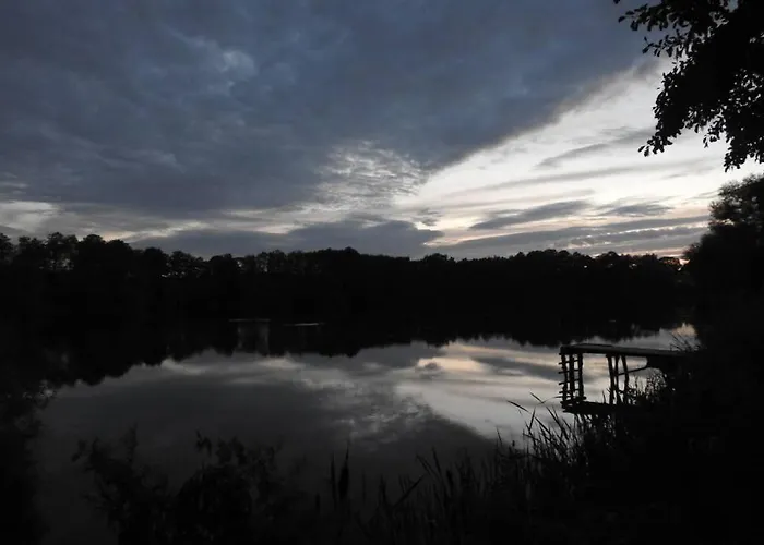 Modrzewiowy Letniskowy - Stare Czaple Dom wakacyjny Brodnica (Kartuzy)
