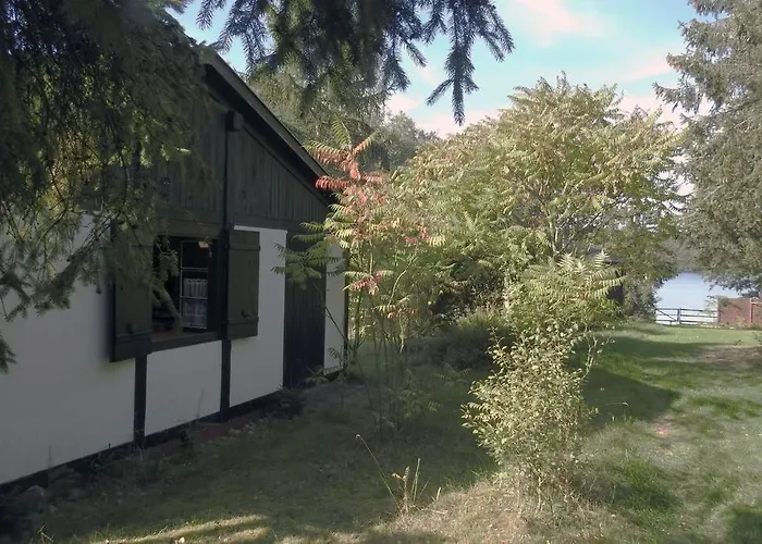 Modrzewiowy Letniskowy - Stare Czaple * Brodnica (Kartuzy)