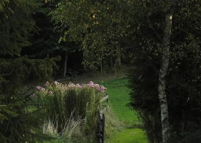 Modrzewiowy Letniskowy - Stare Czaple Dom wakacyjny *