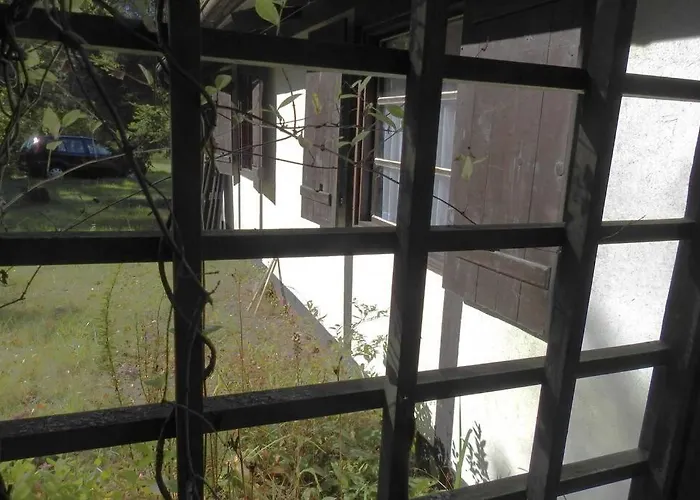 Modrzewiowy Letniskowy - Stare Czaple *